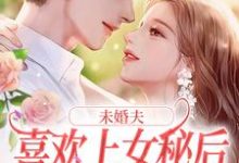 小说《未婚夫喜欢上女秘后，我和初恋好了》在线章节阅读-瑞奇文学