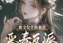 小说完整版《爽文女主换赛道，恶毒反派我当定了》免费阅读-瑞奇文学