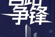 官路争锋小说阅读，官路争锋完结版-瑞奇文学