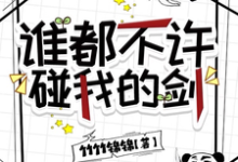 谁都不许碰我的剑周长安风珀小说完结版章节在线阅读-瑞奇文学