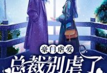 完整版《豪门虐爱：总裁别虐了，夫人已婚了》小说免费阅读-瑞奇文学