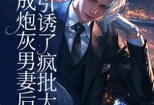 完结版《穿成炮灰男妻后，引诱了疯批大佬》章节目录在线阅读-瑞奇文学