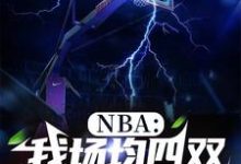 NBA：我场均四双，得分为零小说无弹窗阅读的网站推荐-瑞奇文学