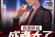 陆乘风周翰林小说完整版《我都卧底成老大了，还不收网？》免费阅读-瑞奇文学