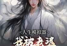 人生模拟器：我被老婆逼成世间极境小说的免费电子版在哪里可以下载或阅读？-瑞奇文学