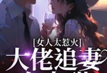 女人太惹火，大佬追妻有点甜小说有没有完结版在线？-瑞奇文学