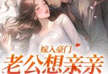 宋颜沈淮完整版《嫁入豪门，老公想亲亲就先虐渣》小说免费阅读-瑞奇文学