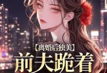 《离婚后独美，前夫跪着求原谅》完整版小说免费阅读-瑞奇文学