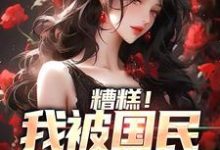 文贤哲千映雪完整版《糟糕！我被国民女神缠上》小说免费阅读-瑞奇文学