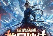 林圣完整版《综武店铺：始皇仙法，万界疯狂》小说免费阅读-瑞奇文学