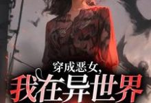 穿成恶女，我在异世界重拳出击！完整版小说免费阅读，穿成恶女，我在异世界重拳出击！小说-瑞奇文学