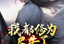 免费看我都修为尽失了，你们还要倒贴？小说的网站有哪些？-瑞奇文学
