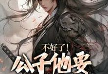 完结版《不好了！公子他要挑战皇权》章节阅读-瑞奇文学