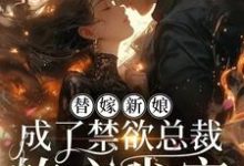 完结版《替嫁新娘，成了禁欲总裁的心尖宠》章节阅读-瑞奇文学