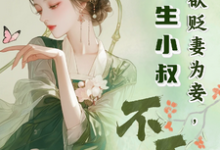 夫君欲贬妻为妾，重生小叔不干了完整版小说，夫君欲贬妻为妾，重生小叔不干了最新章节-瑞奇文学