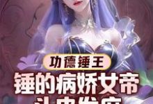 《功德锤王：锤的病娇女帝头皮发麻》小说章节列表免费试读，武亦小说在线阅读-瑞奇文学