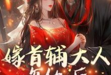 嫁首辅大人复仇后，她被反攻略了楚若颜晏铮，嫁首辅大人复仇后，她被反攻略了小说免费阅读-瑞奇文学