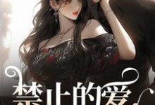 《禁止的爱，多情的他》小说章节列表免费试读，张漓张弈昇小说在线阅读-瑞奇文学