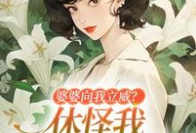 姜婉小说免费阅读完整版-瑞奇文学