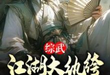 完结版《综武：江湖大纨绔，震惊安世耿！》章节目录在线阅读-瑞奇文学