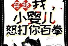 完结版《穿越：我，小婴儿，怒打你百拳》免费阅读-瑞奇文学