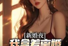 叶修远白若雪完整版《新婚夜，我拿着离婚协议黯然离场》小说免费阅读-瑞奇文学